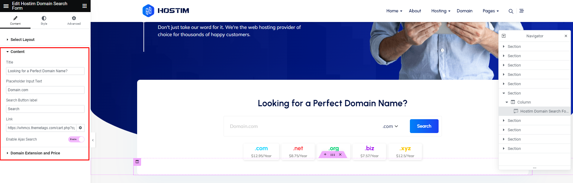 Hostim Domain Search